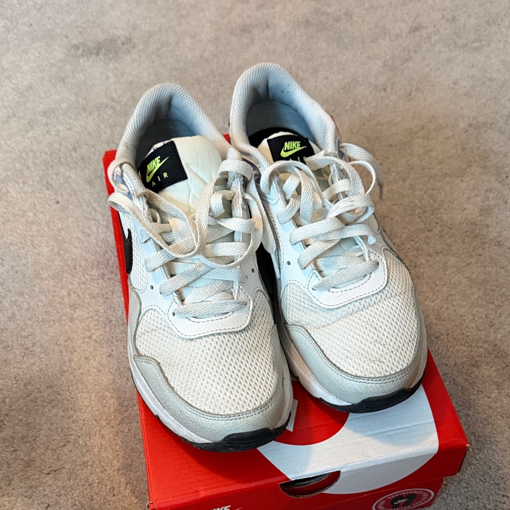 Nike Air Gray and White Sneakers